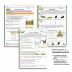 Atividades 4º Ano - História, Geografia e Ciências alinhadas à BNCC - Imagem 2