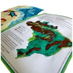 Atividade com Tinta Relevo - Relevos do Brasil - Imagem 2